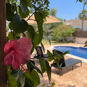 https://casa-de-vicky.es-andalucia.com